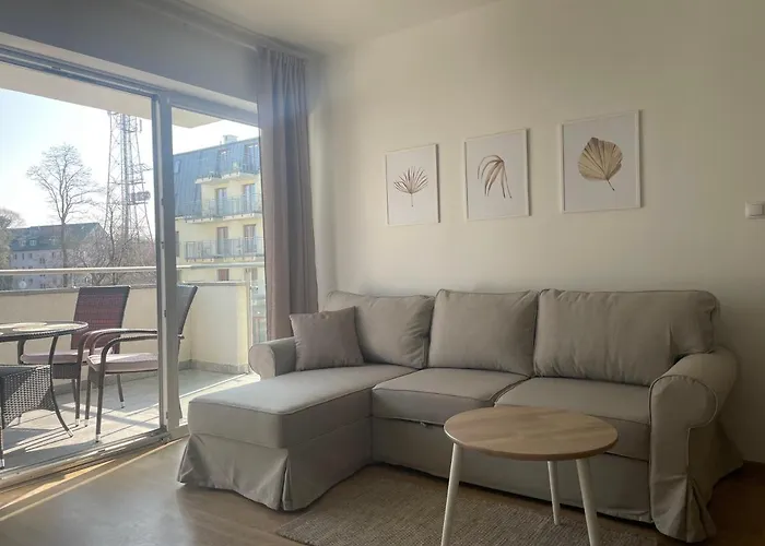 Stella Baltic 8 I 23 *